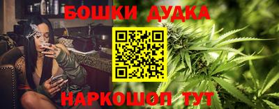 прущие крисы Нальчик