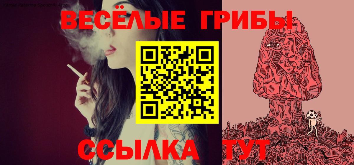 Псилоцибиновые грибы MAGIC MUSHROOMS Белово